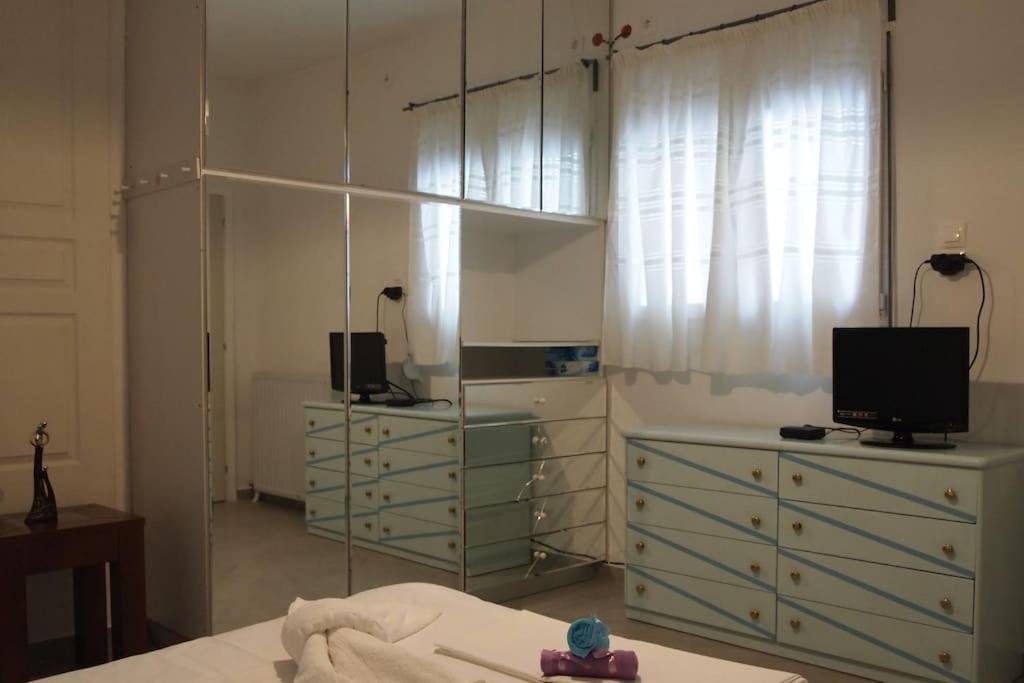 Big Oasis Near The Center Of Apartment