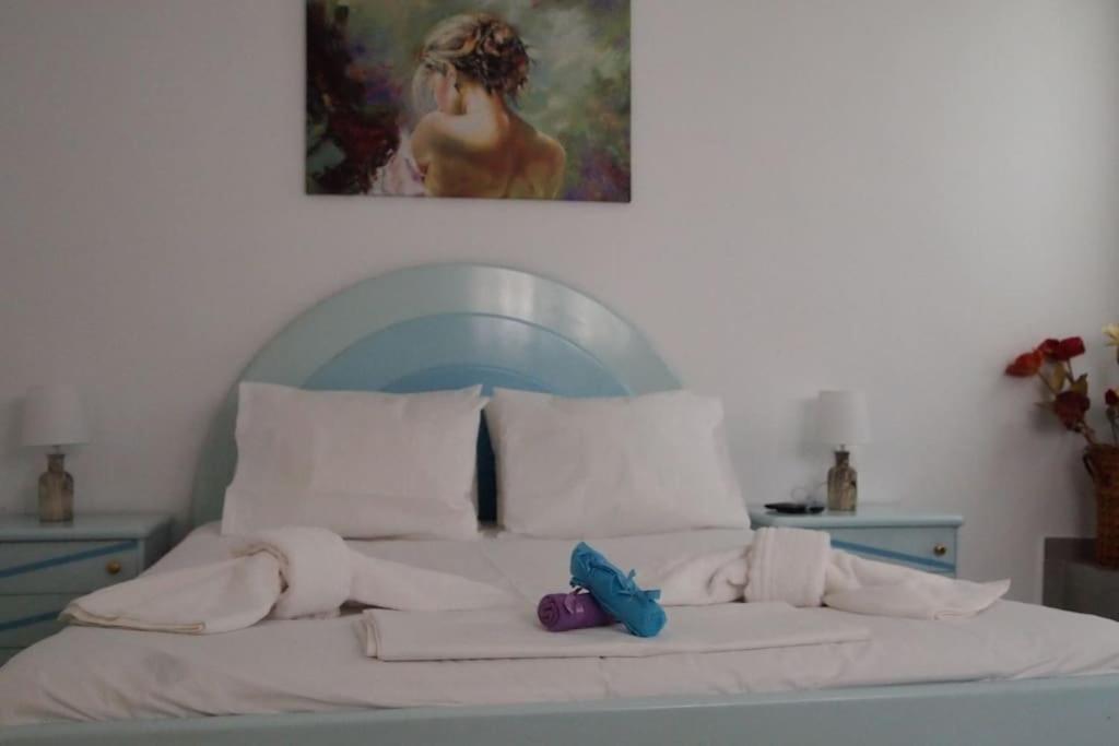 Apartment Big Oasis Near The Center Of Athens