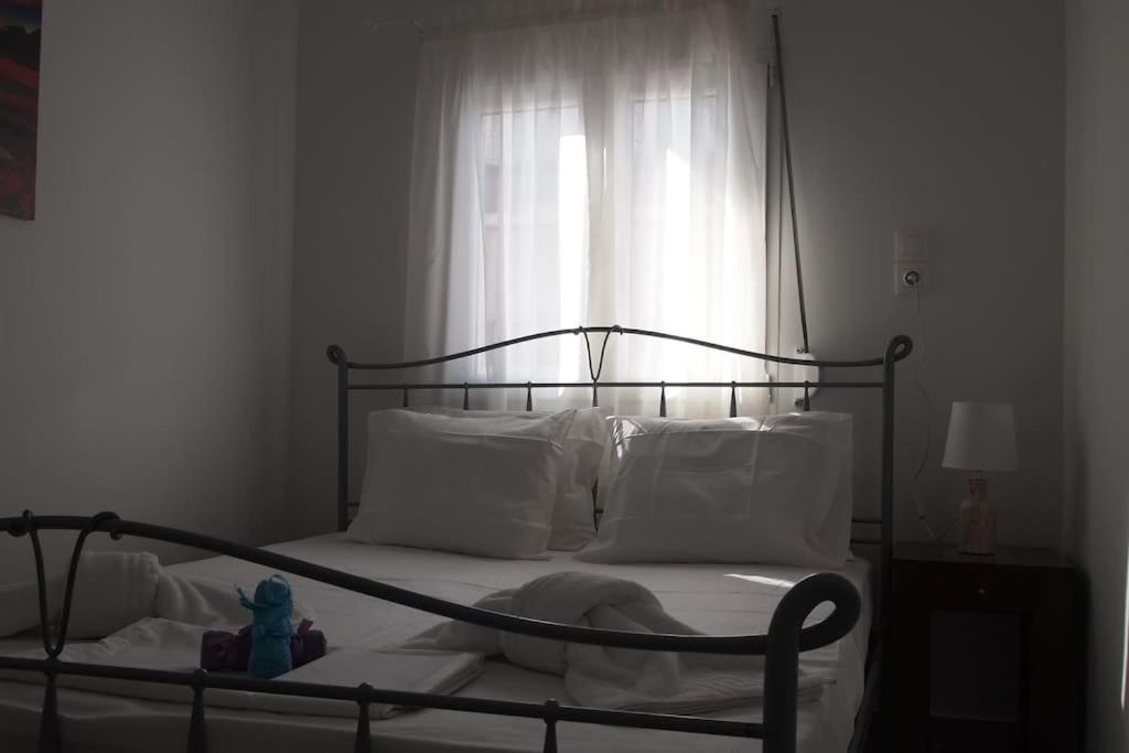 Apartment Big Oasis Near The Center Of Athens