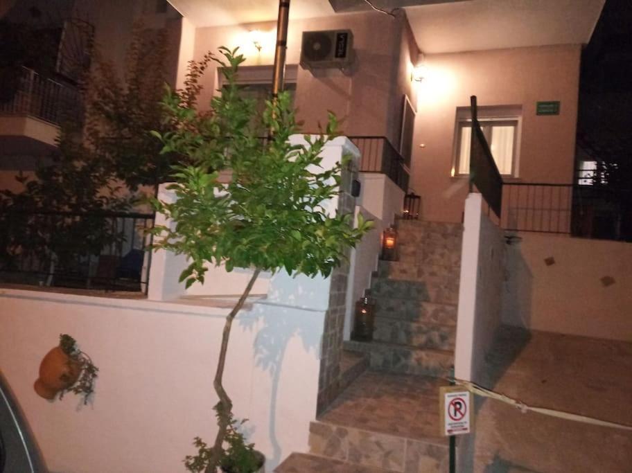 Big Oasis Near The Center Of Apartment *