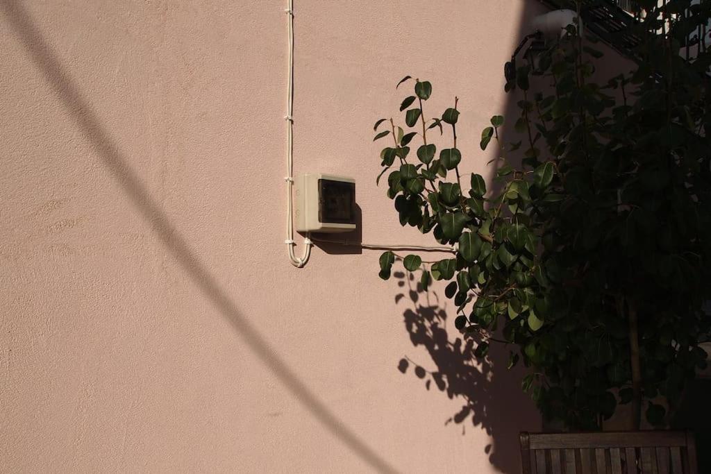 Big Oasis Near The Center Of Apartment Athens