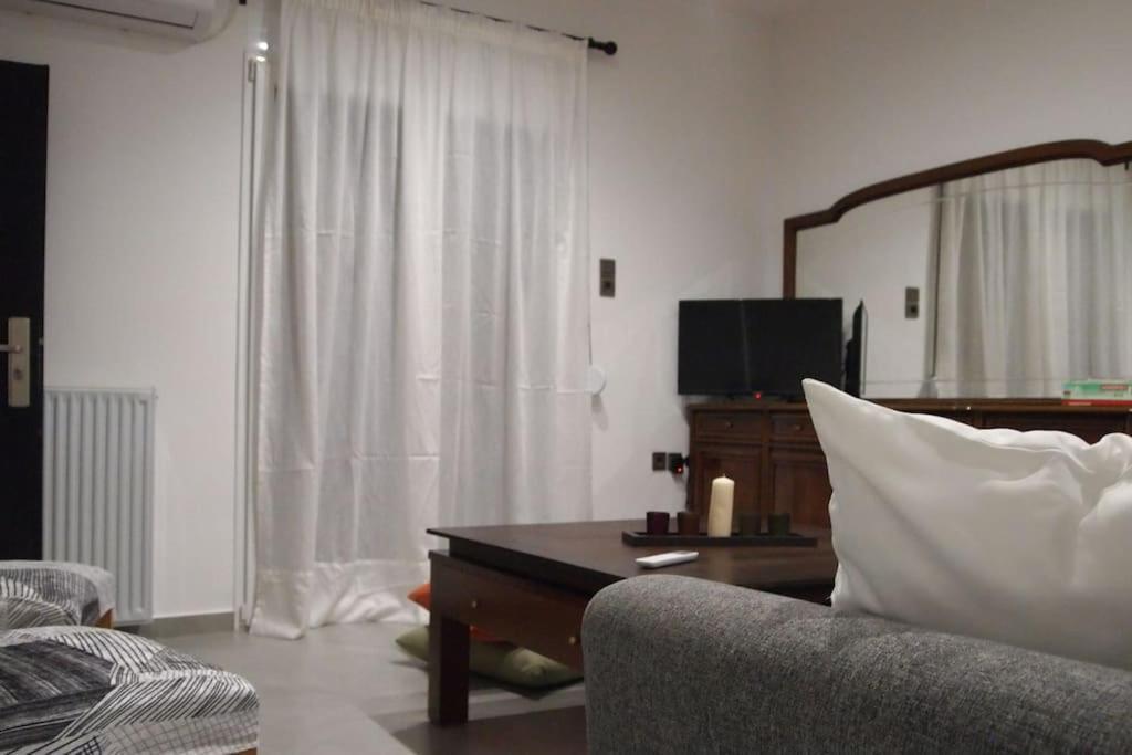 Apartment Big Oasis Near The Center Of Athens