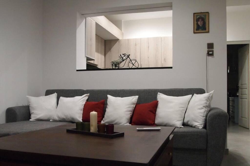 Big Oasis Near The Center Of Apartment Athens