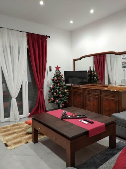Apartment Big Oasis Near The Center Of *