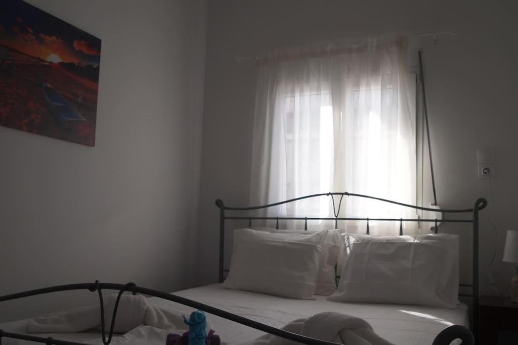 Big Oasis Near The Center Of Apartment Athens